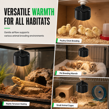 ⏳Limited-time 50% off⏰Intelligent Temperature Control Brooder Heater🐣🌡️