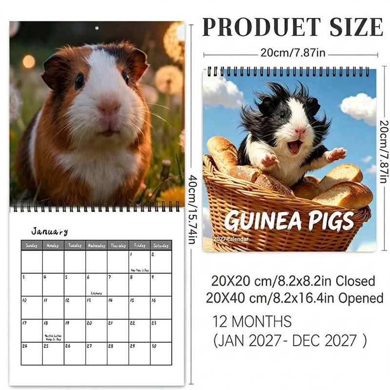 🐹 50% OFF! ✨ Adorable Guinea Pig Wall Calendar – 12 Months of Lovely Photography, Charming Wall Decor & Easy Monthly Planning – Brighten Any Room with Cute Moments All Year 📅