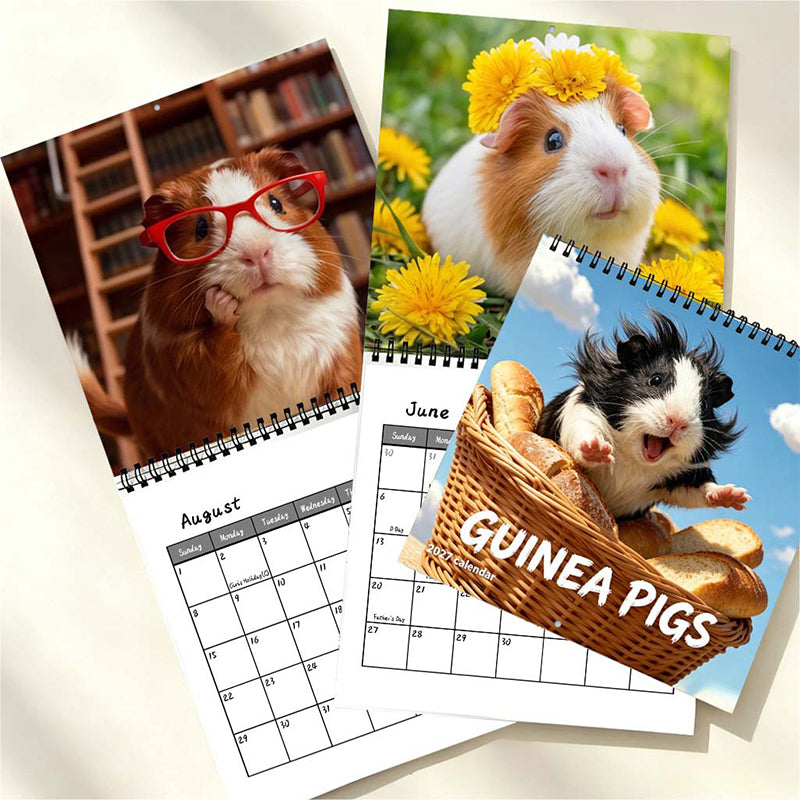 🐹 50% OFF! ✨ Adorable Guinea Pig Wall Calendar – 12 Months of Lovely Photography, Charming Wall Decor & Easy Monthly Planning – Brighten Any Room with Cute Moments All Year 📅