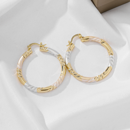 ✨ Women's Elegant Twisted Hoop Earrings